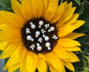 עגילים לכלה