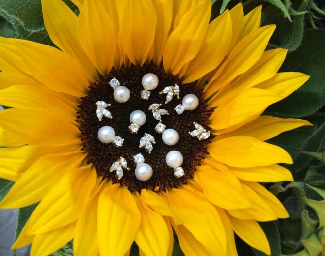 עגילים לכלה